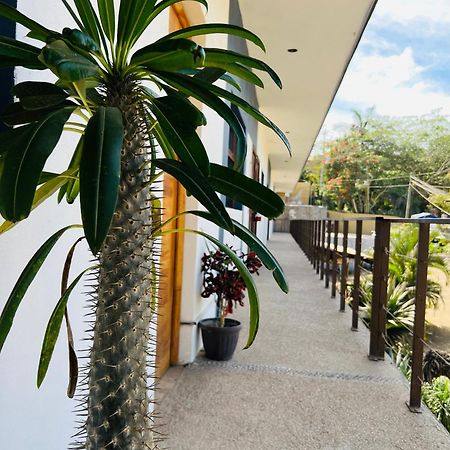 Hotel Samanu Sayulita Exterior photo